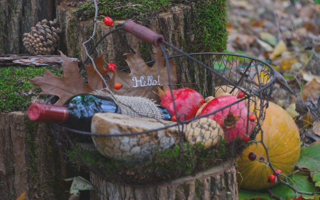 Vintage őszi inspirációs fotózás 2017